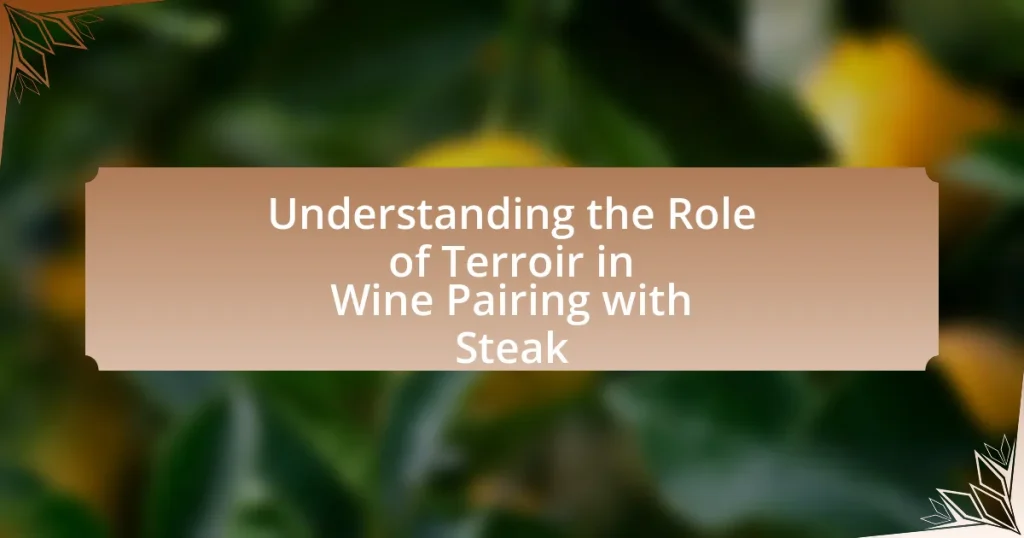 Understanding the Role of Terroir in Wine Pairing with Steak