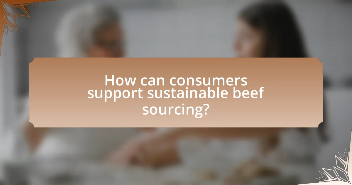 How can consumers support sustainable beef sourcing?