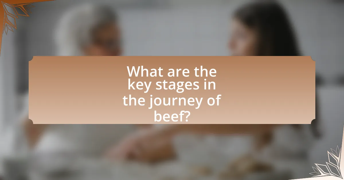What are the key stages in the journey of beef?