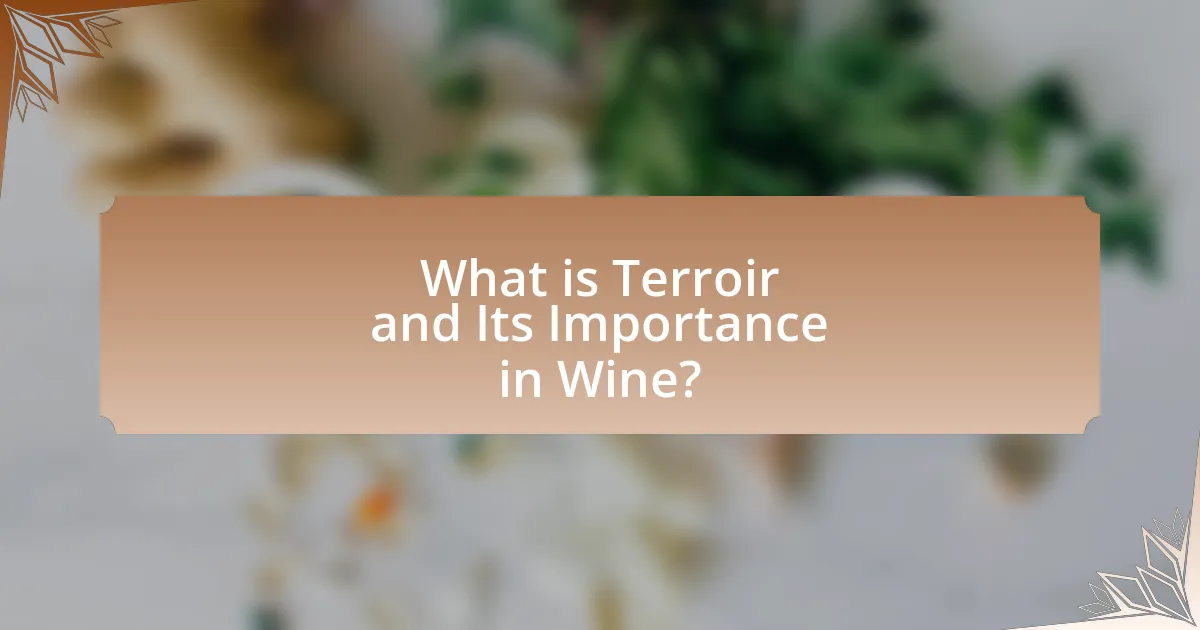 What is Terroir and Its Importance in Wine?
