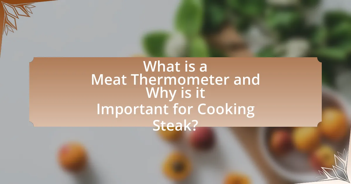 What is a Meat Thermometer and Why is it Important for Cooking Steak?