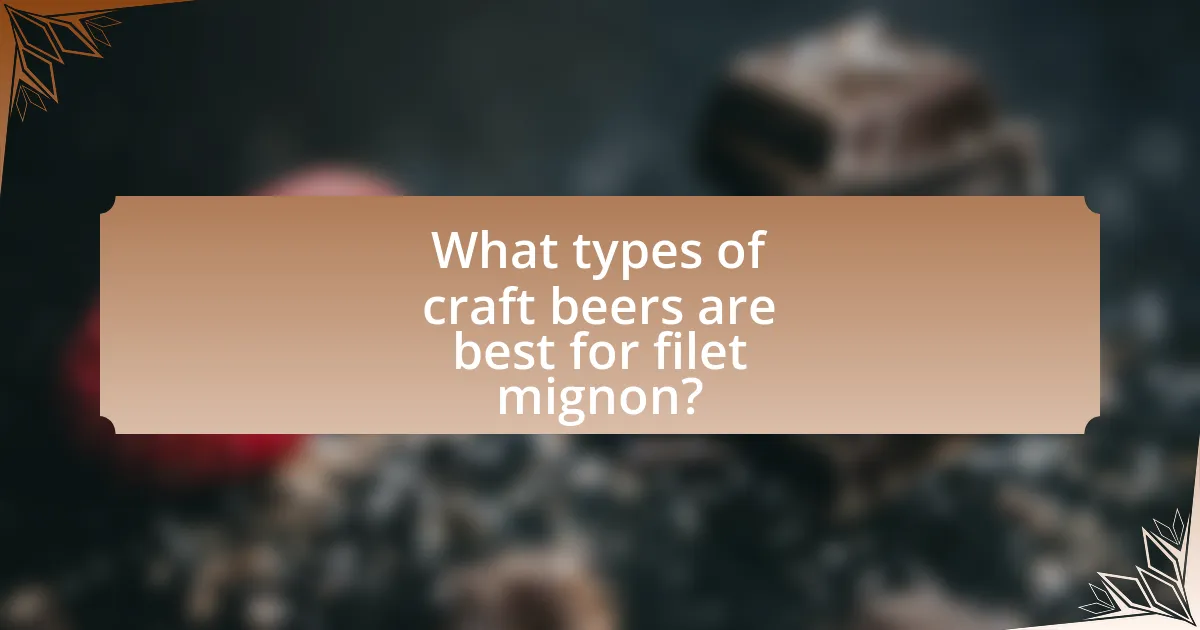 What types of craft beers are best for filet mignon?